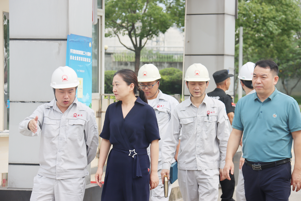 四川win必赢接待成都市经信局丁琴一行调研督导安全出产工作.png